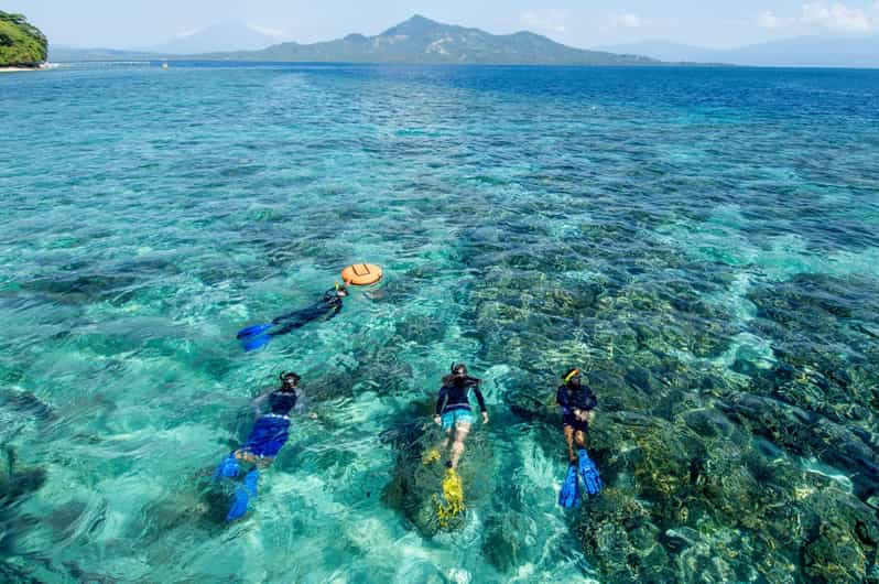 Cham Island: Sightseeing and Snorkeling Day Trip - Swimming and Snorkeling