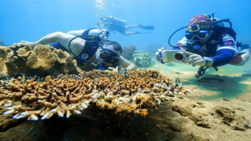 CHAM ISLAND - SIGHTSEEING AND SNORKELING TOUR - Age Requirement