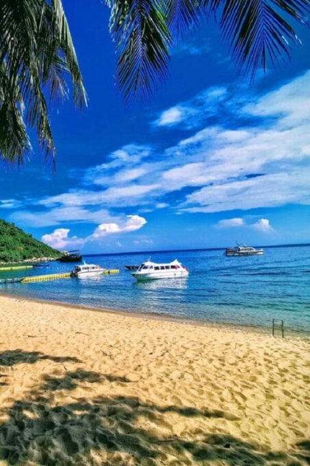 Cham Island: Snorkeling Experience From Danang - Frequently Asked Questions