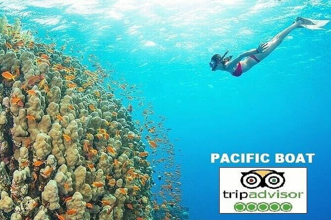Cham island snorkeling tour - Key Points