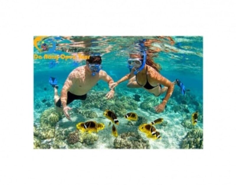Cham Island: Snorkeling Tour by Speed Boat 1-Day With Lunch - Snorkeling and Underwater Exploration