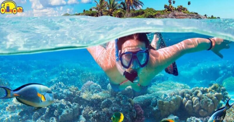 Cham Island: Snorkeling Tour by Speed Boat 1-Day With Lunch - Relaxation Time in the Bay