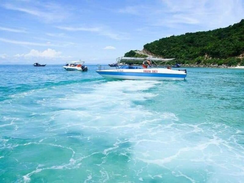 Cham Island Snorkeling Tour by Speed Boat From Hoi An/Danang - Tan Hiep Fresh Seafood Market