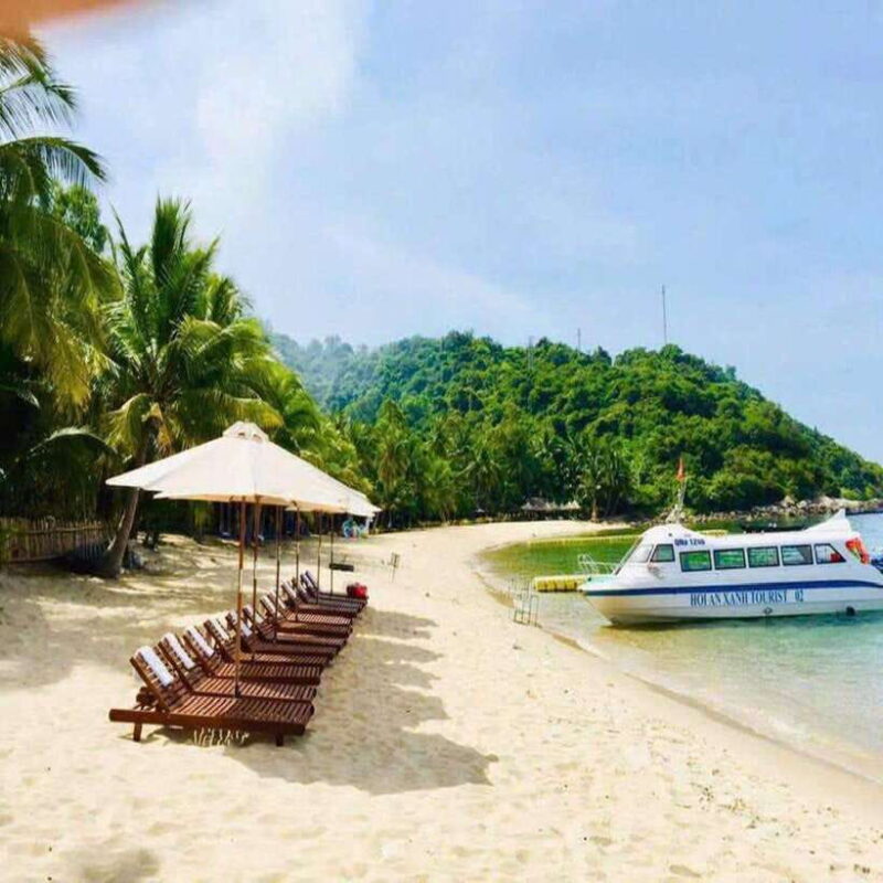 Cham Island - Snorkeling Tour From Hoi An/Danang - Itinerary and Activities