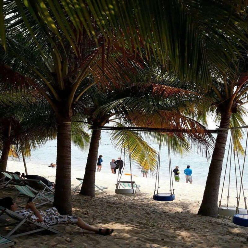 Cham Island - Snorkeling Tour From Hoi An/Danang - Important Information