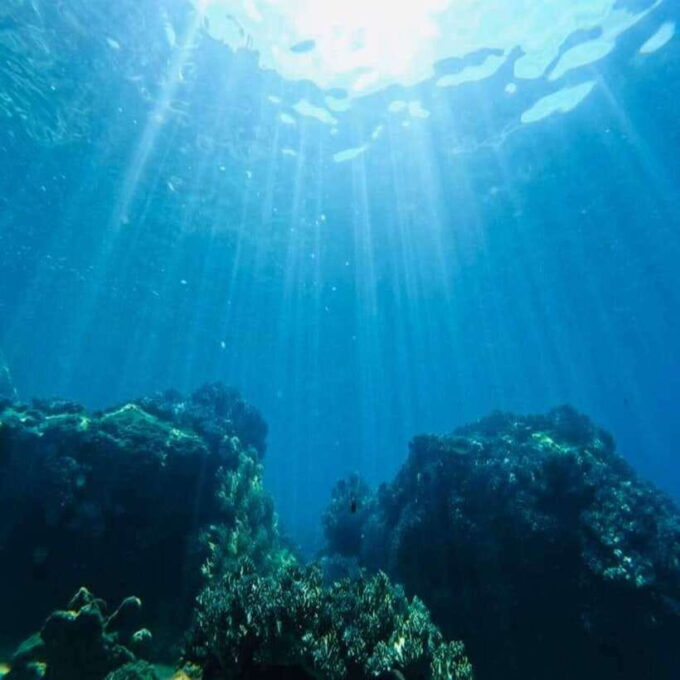 Cham Island - Snorkeling Tour From Hoi An/Danang - Exploring the Marine Protected Area and Fishing Village