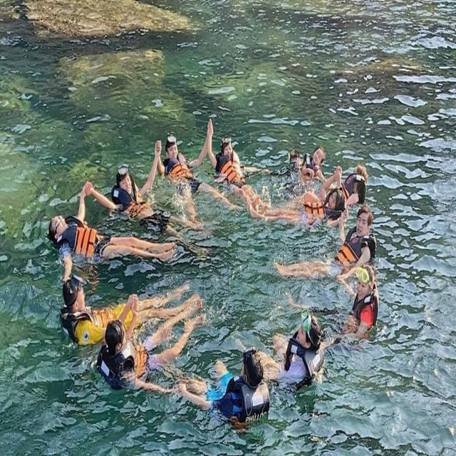 Cham Island - Snorkeling Tour From Hoi An/Danang - Key Points