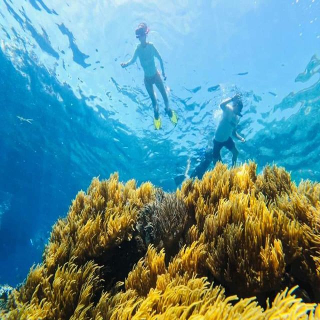 Cham Island - Snorkeling Tour From Hoi An/Danang - Additional Fees and Charges