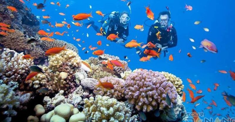 Cham Island Snorkeling Tour With Lunch - Pickup and Drop-off Details