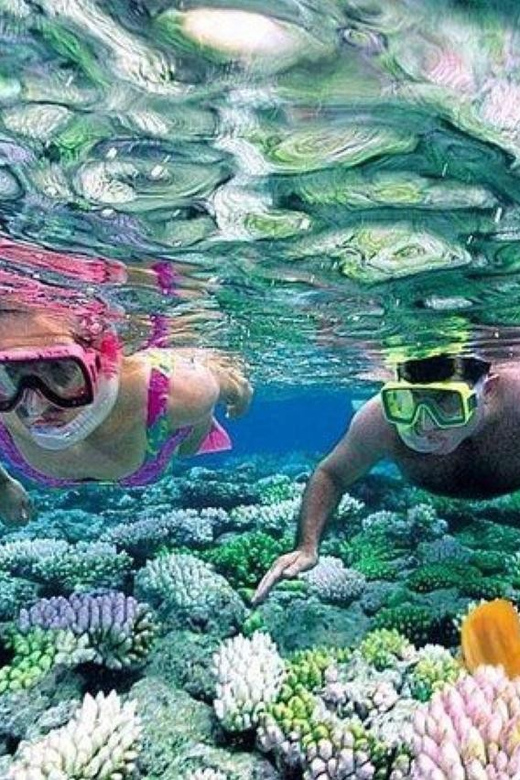 Cham Island Snorkeling Tour With Lunch - Important Information