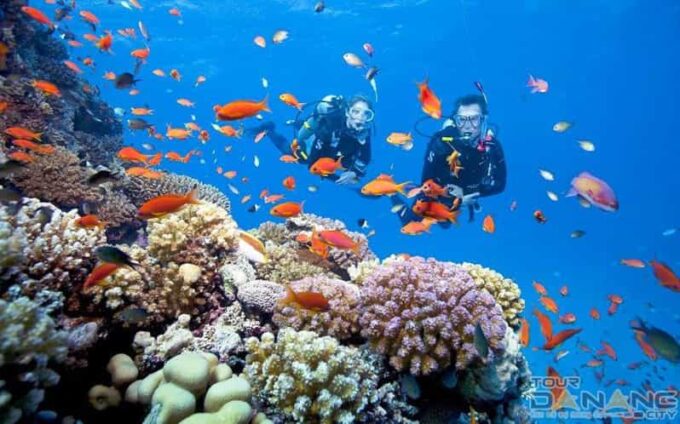 Cham Island Snorkeling Tour With Lunch - Frequently Asked Questions