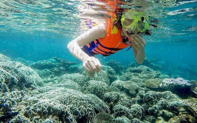 Cham Island Tour: Snorkeling & Spa From Da Nang/Hoi an - Frequently Asked Questions