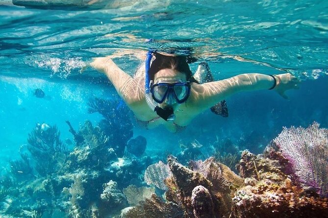 Cham Island Tour Snorkeling -Sunbathing - Nice Beach - Speedboat - Included Activities