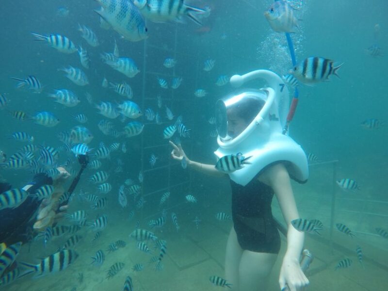 Cham Island: Underwater Walking & Snorkeling Tour - Key Highlights