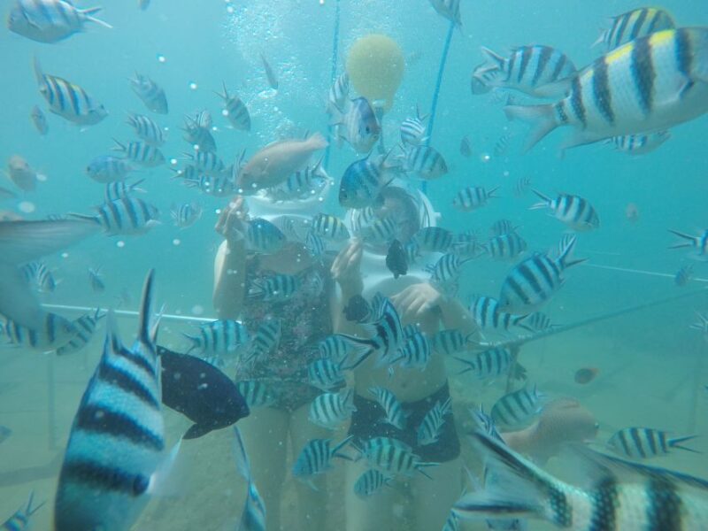 Cham Island: Underwater Walking & Snorkeling Tour - Included in the Tour