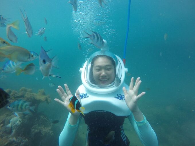 Cham Island: Underwater Walking & Snorkeling Tour - Frequently Asked Questions