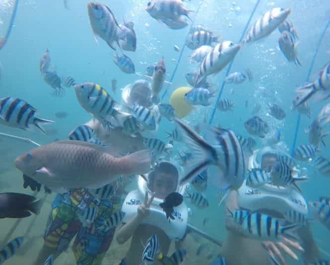 Cham Islands: Experience Underwater Snorkeling Excursion - Scenic Transportation