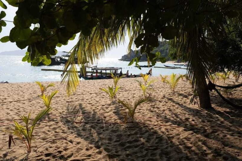 Cham Islands Snorkeling Tour by Speedboat : Hoi An/Da Nang - Customer Reviews