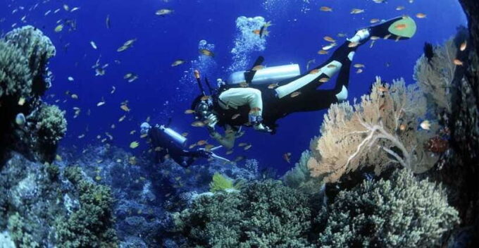 Cham Islands Snorkeling Tour by Speedboat : Hoi An/Da Nang - Frequently Asked Questions