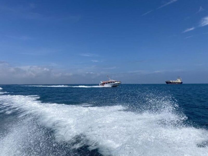 Cham Islands Tour by Speedboat : From Hoi An / Da Nang - Transportation and Pickup