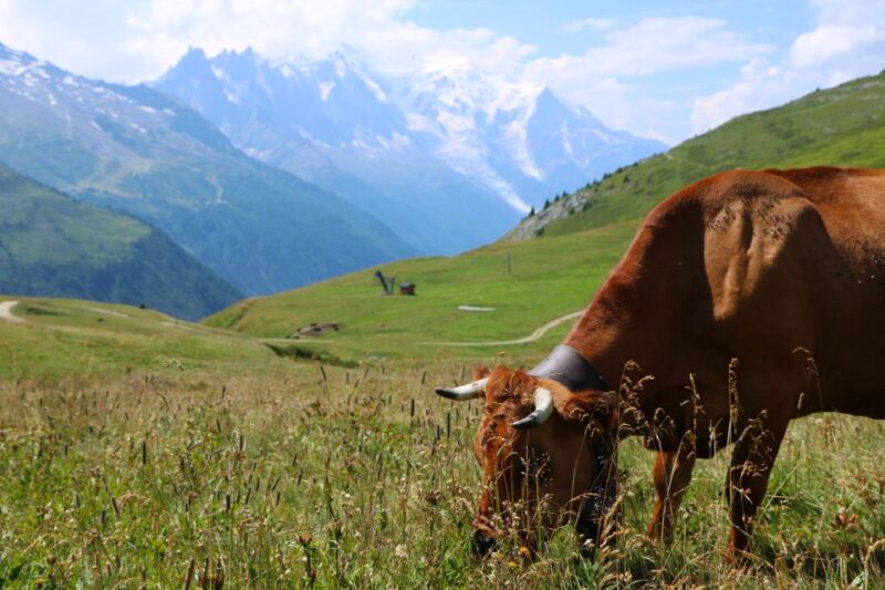 Chamonix and Aravis Local Tour - Just The Basics