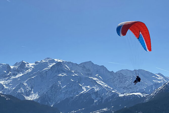 Chamonix Mont-Blanc Full Day Guided Tour - Tour Experience and Highlights