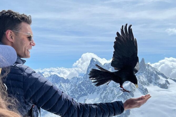 Chamonix Mont-Blanc Full Day Guided Tour - Traveler Feedback