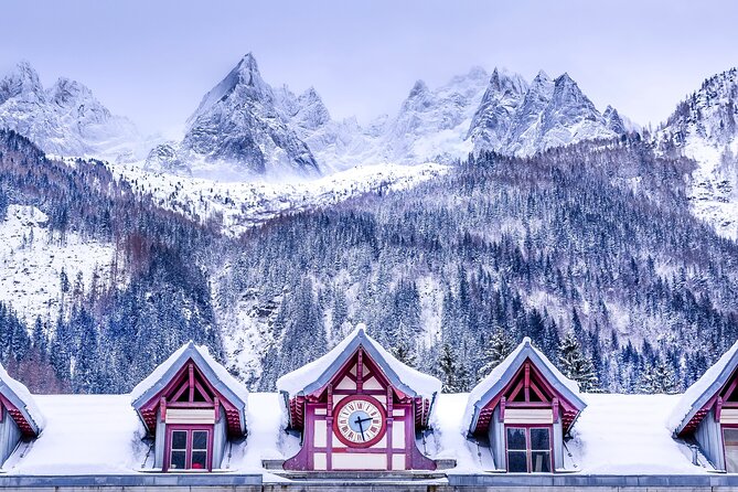 Chamonix Private Tour From Geneva - Inclusions and Amenities