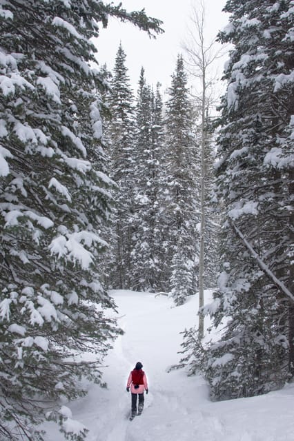 Chamonix: Snowshoeing Under the Stars - Key Points