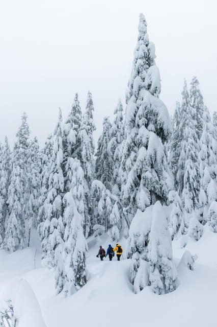 Chamonix: Snowshoeing Under the Stars - Pricing and Availability