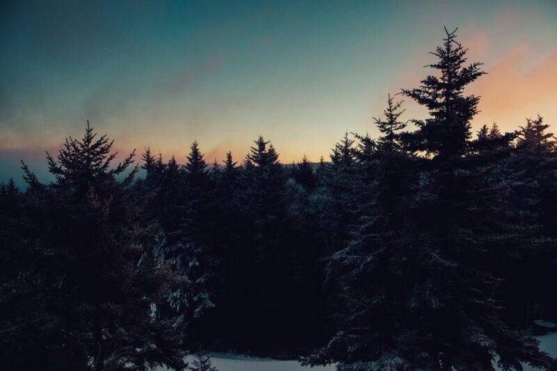 Chamonix: Snowshoeing Under the Stars - Pickup and Logistics