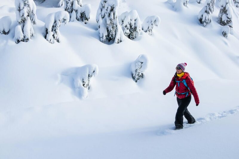 Chamonix: Snowshoeing Under the Stars - Guided Journey Highlights
