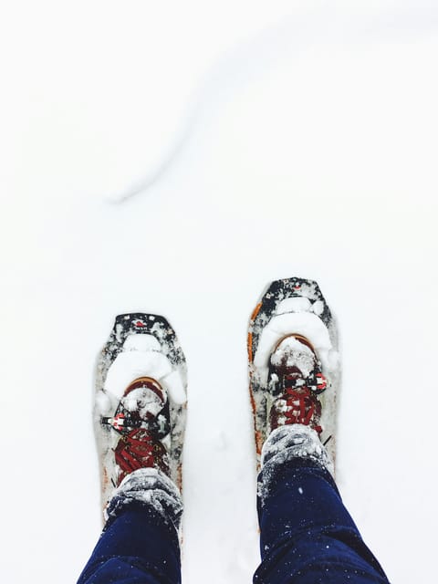 Chamonix: Snowshoeing Under the Stars - Participant Requirements
