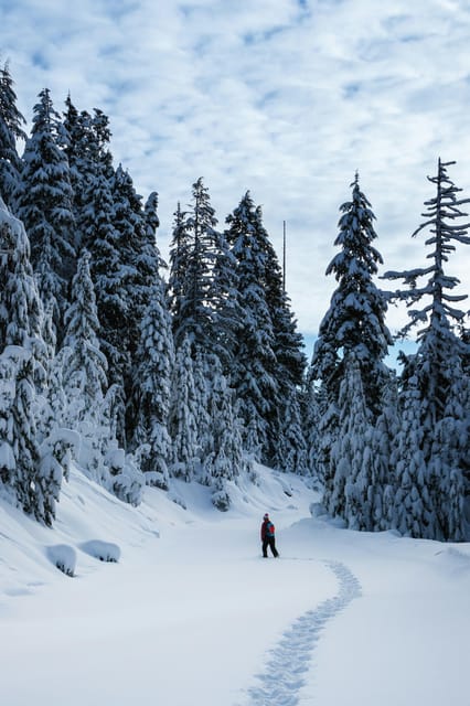 Chamonix: Snowshoeing Under the Stars - Traveler Reviews and Testimonials