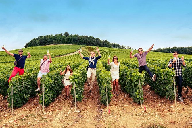 Champagne Albert Beerens Tour & Tasting - Language and Accessibility