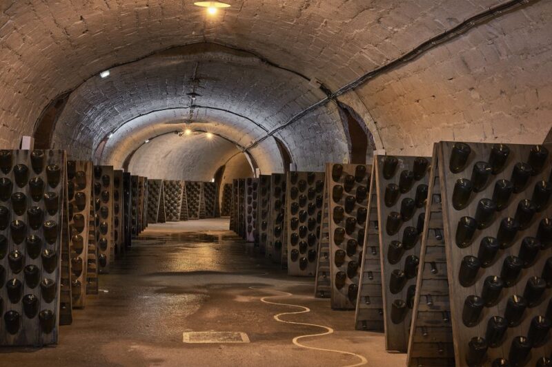 Champagne: Canard-Duchêne Champagne House Tour - Vineyards and Grape Cultivation