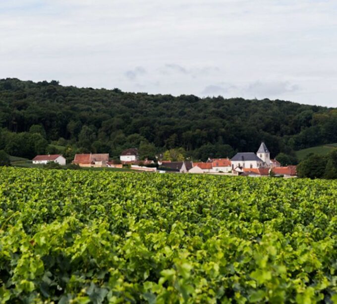 Champagne: Canard-Duchêne Champagne House Tour - Frequently Asked Questions