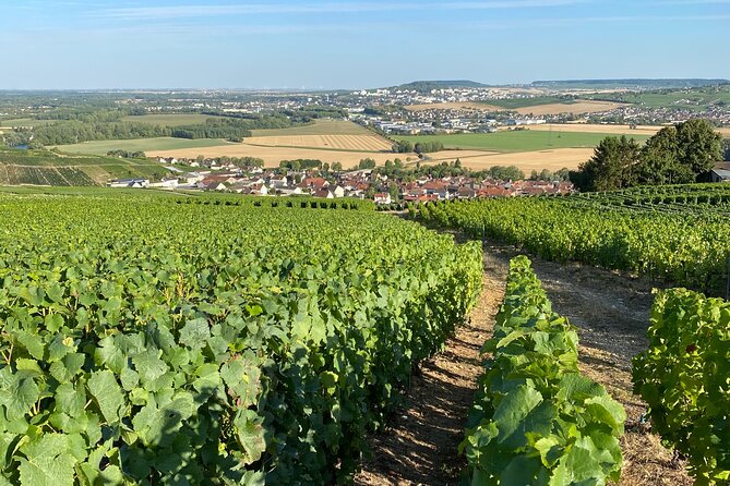 Champagne Cellars & Vineyards Tour From Reims Full Day - Meeting Point and Timings