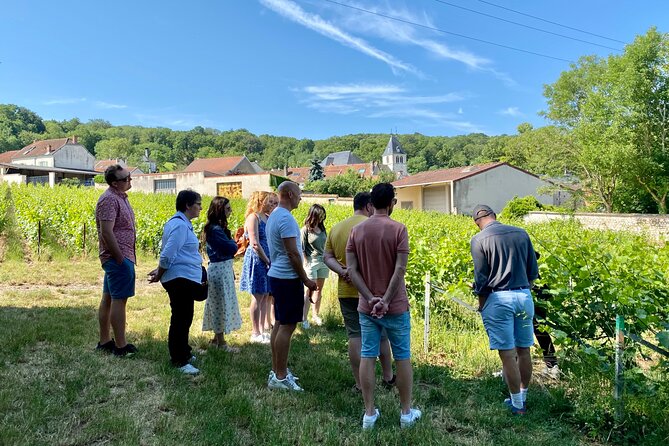 Champagne Cellars & Vineyards Tour From Reims Full Day - Accessibility and Policies