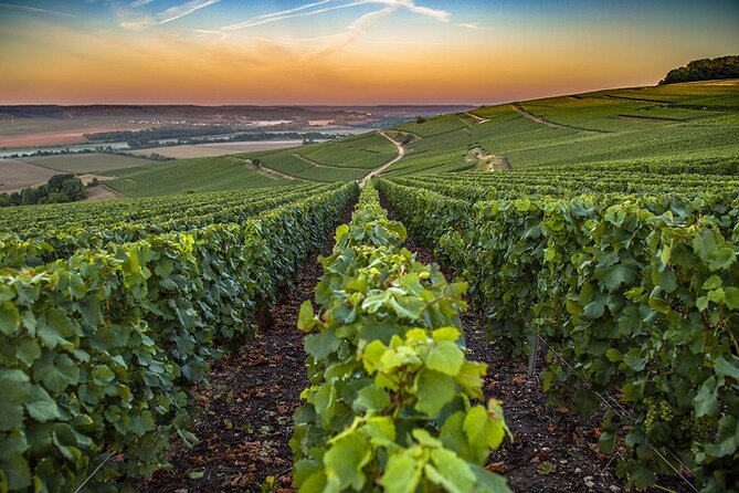 Champagne Day Trip From Reims Including 6 Champagne Tastings - Exploration of Epernay and Avenue De Champagne