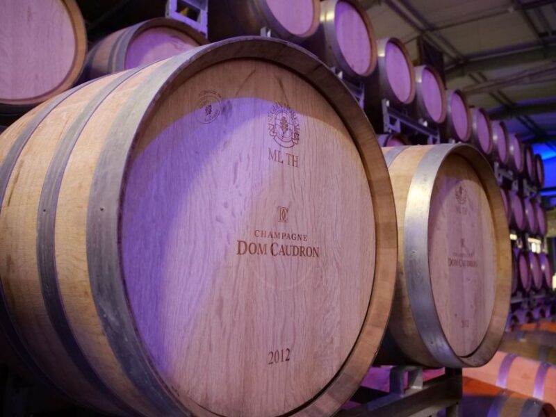 Champagne Dom Caudron, Meunier Experience - Tour in English - Champagne Production