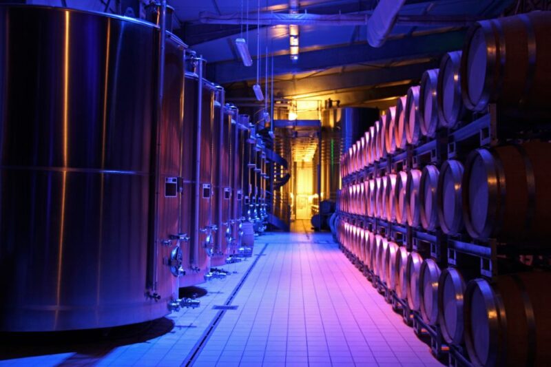 Champagne Dom Caudron, Meunier Experience - Tour in English - Grape Varieties