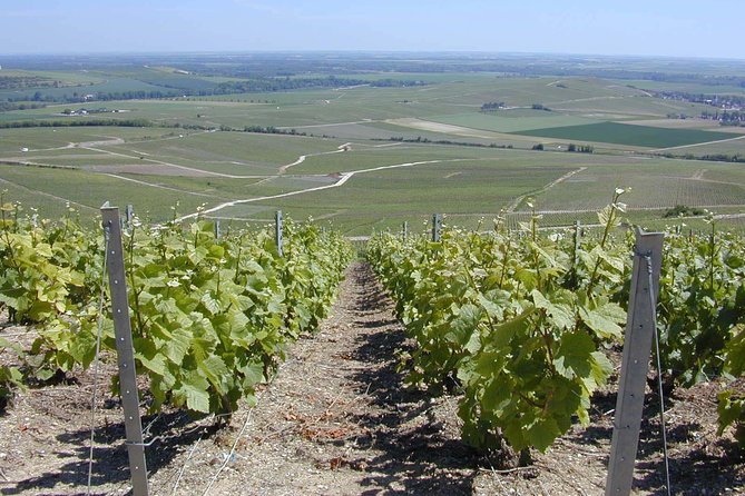 Champagne Enthusiast Custom Planned Overnight Stay & Private Driver - Cancellation Policy and Fees