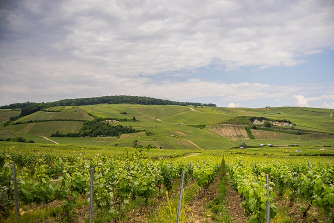 Champagne Experience With a Vintage Van From Epernay - 3 Hours - Cancellation Policy