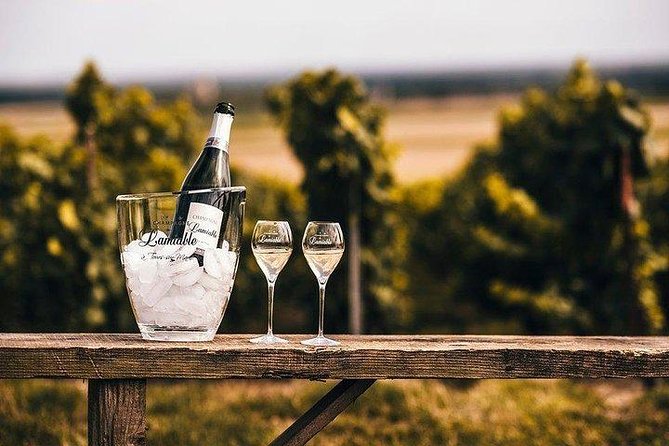 Champagne Lamiable: Stroll and Taste in the Grand Cru Champagne Vineyard - Picturesque Vineyard Lodge Setting