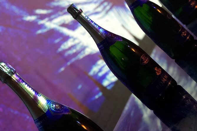 Champagne Lovers Full-Day Private Mercedes Tasting Tour  - Reims - Panoramic Views of Vineyards