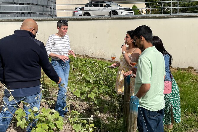 Champagne Munoz Bruneau : Half Day Visit and Tasting - Tasting Experience