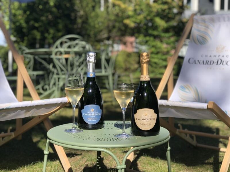 Champagne: Organic Champagne Tasting - Tasting Activities