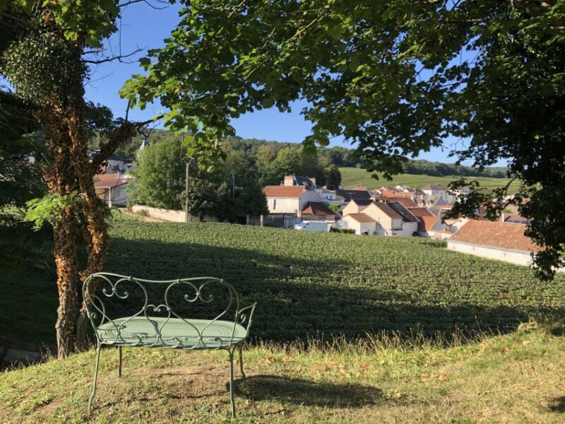 Champagne: Organic Champagne Tasting - Pricing and Booking