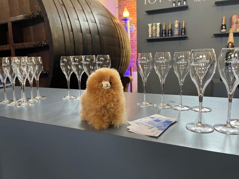 Champagne Private Day Trip: Epernay & Reims 9 Glasses - Pickup & Dropoff